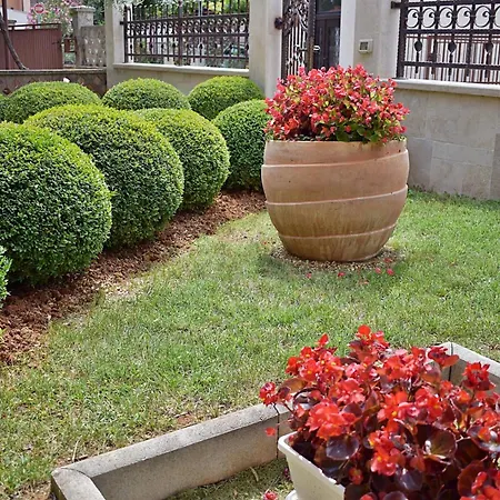 Tina & Denis Apartmán Pula